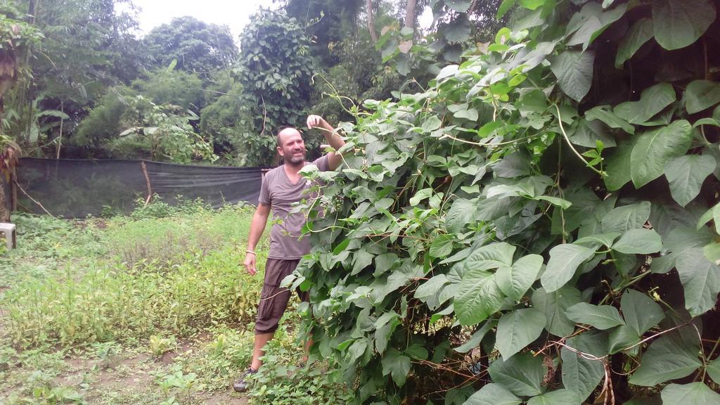 The Local Story Resort Ban Mon Talaeng 外观 照片